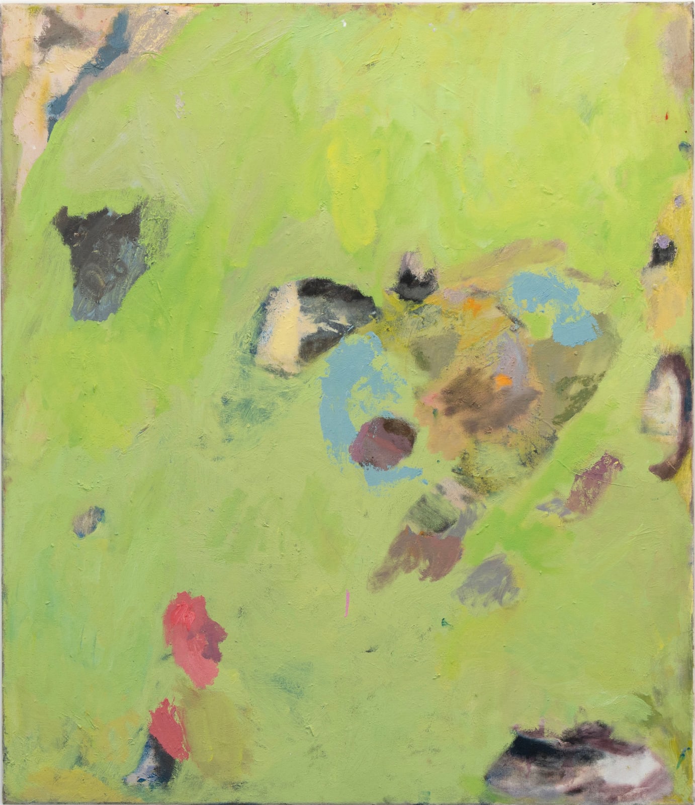 Milly James, Veronica, 2024