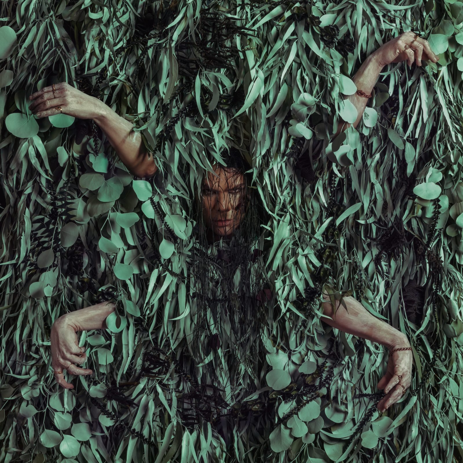 Christian Thompson, Tá Gaeilge Agam (I have Irish), 2023