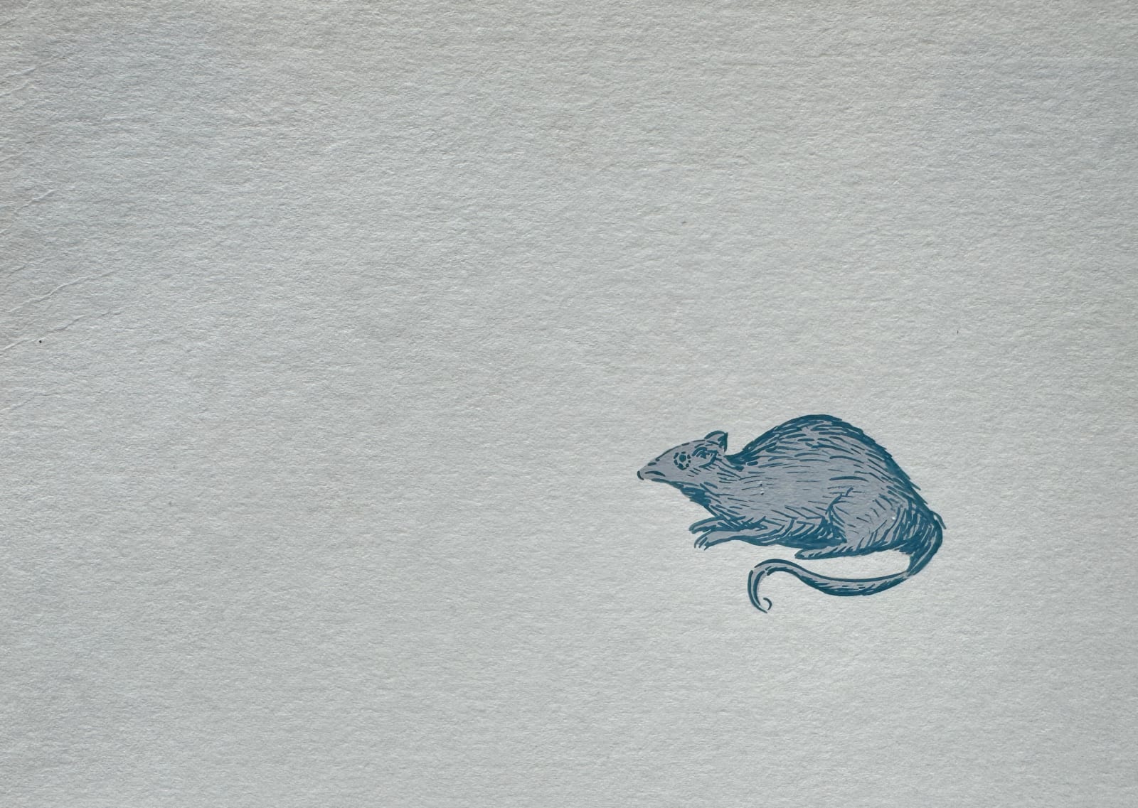Sharon Goodwin, Unknown (mouse), 2024