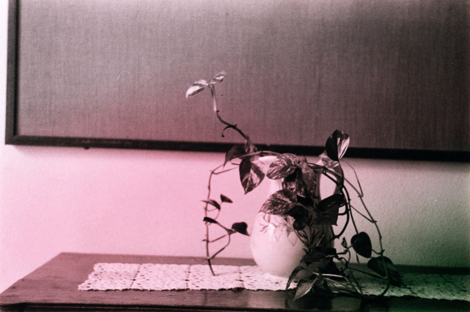 Kiron Robinson, Mary, Mary #56, 2025