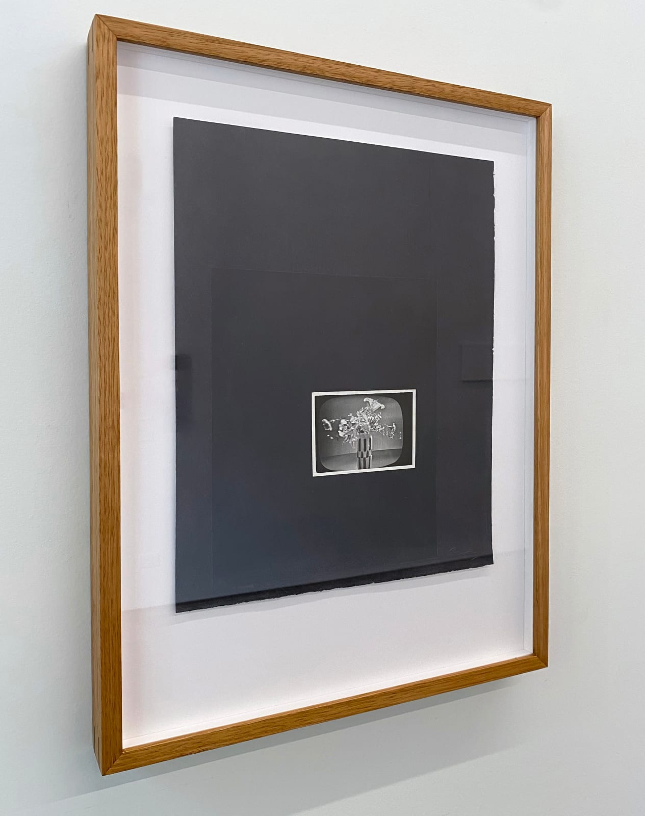 Doug Hall, TV Ikebana, 2024