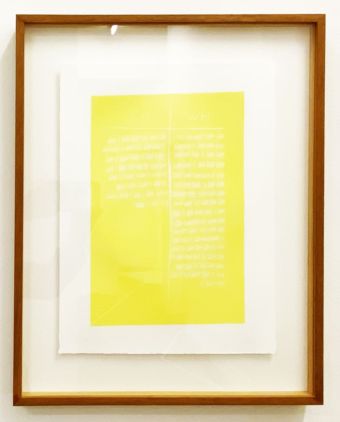 Kiron Robinson, Used Hours/Wasted Hours (November/Lemon), 2011