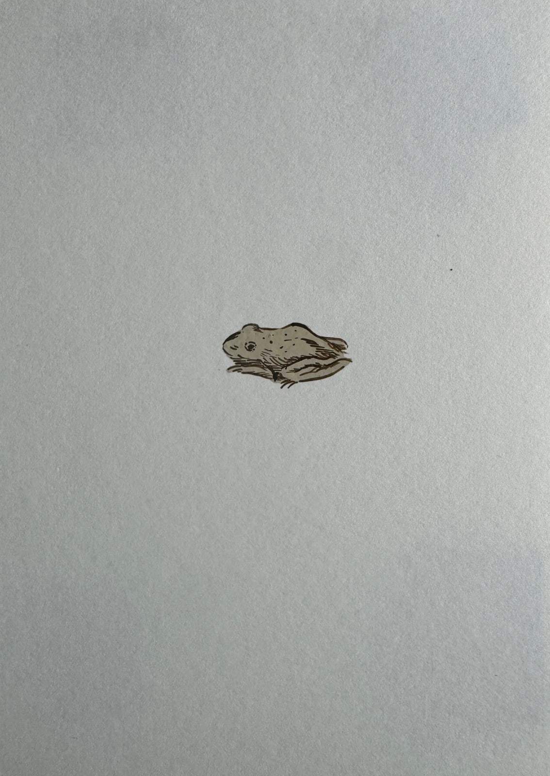 Sharon Goodwin, Unknown (frog), 2024