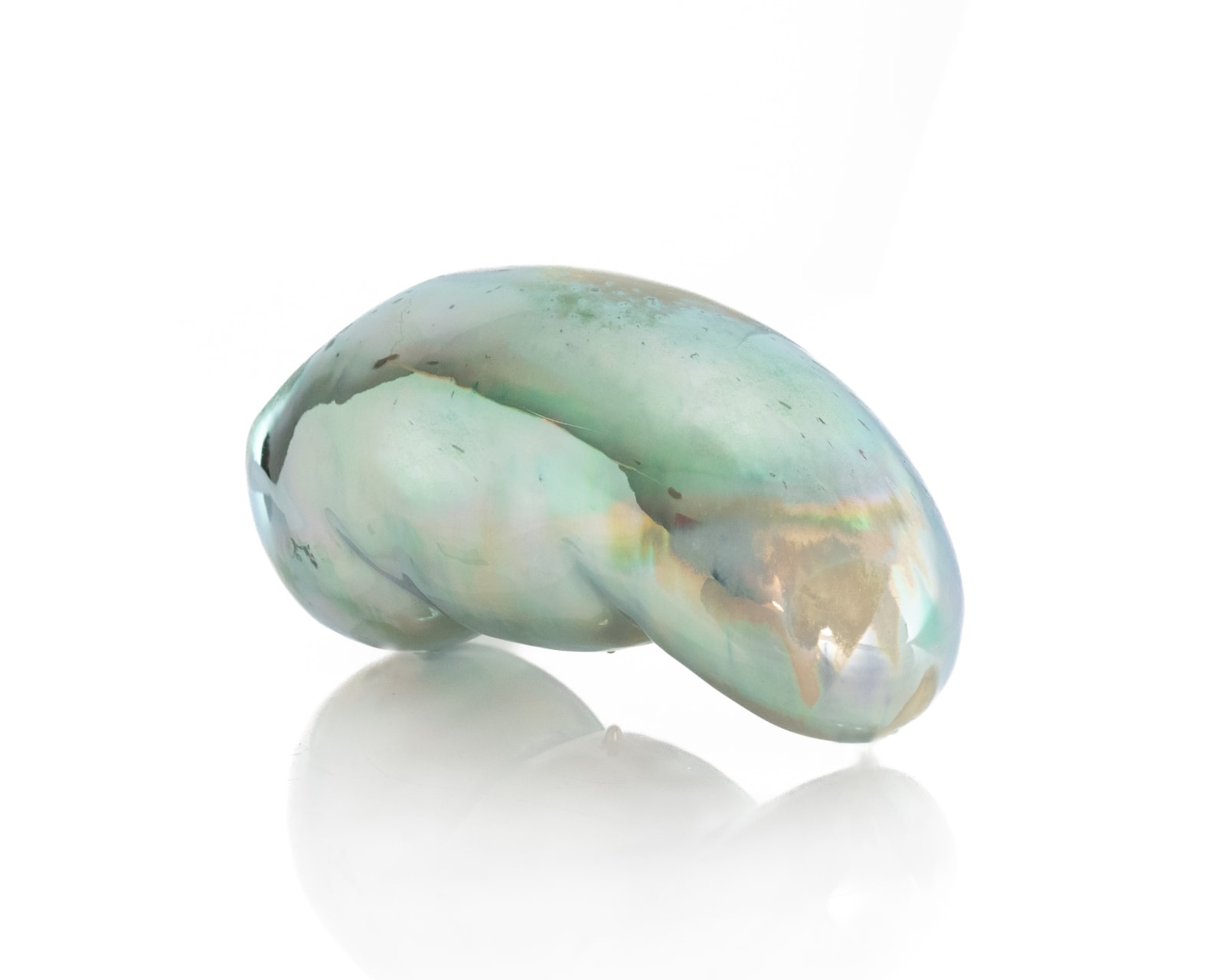 Uriel Caspi, Corpus Archtypus - Kidney, 2024