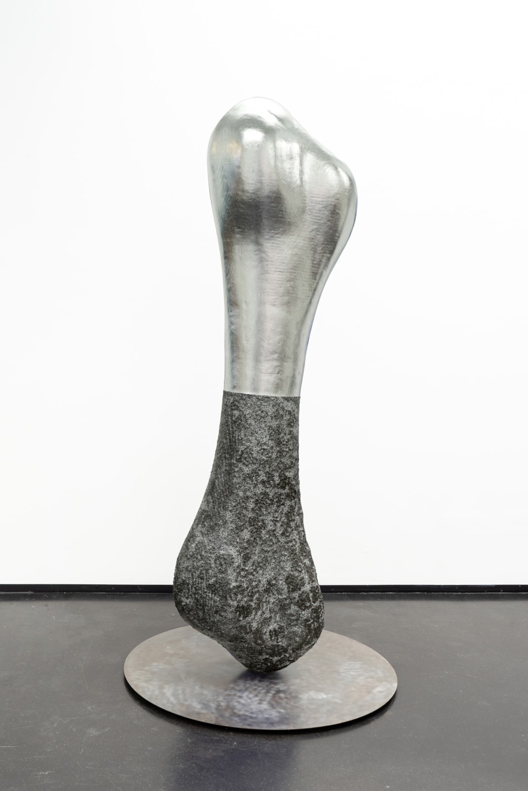 Uriel Caspi, Anatomical Fragments, 2023