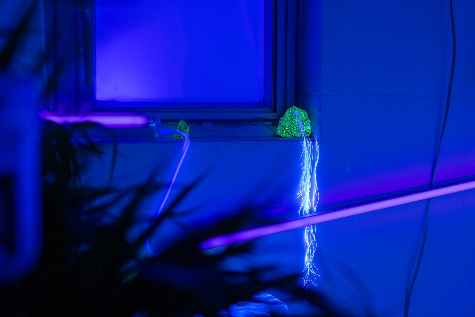 Jaffa Lam, Rocking in Mini Zen Garden, 2020