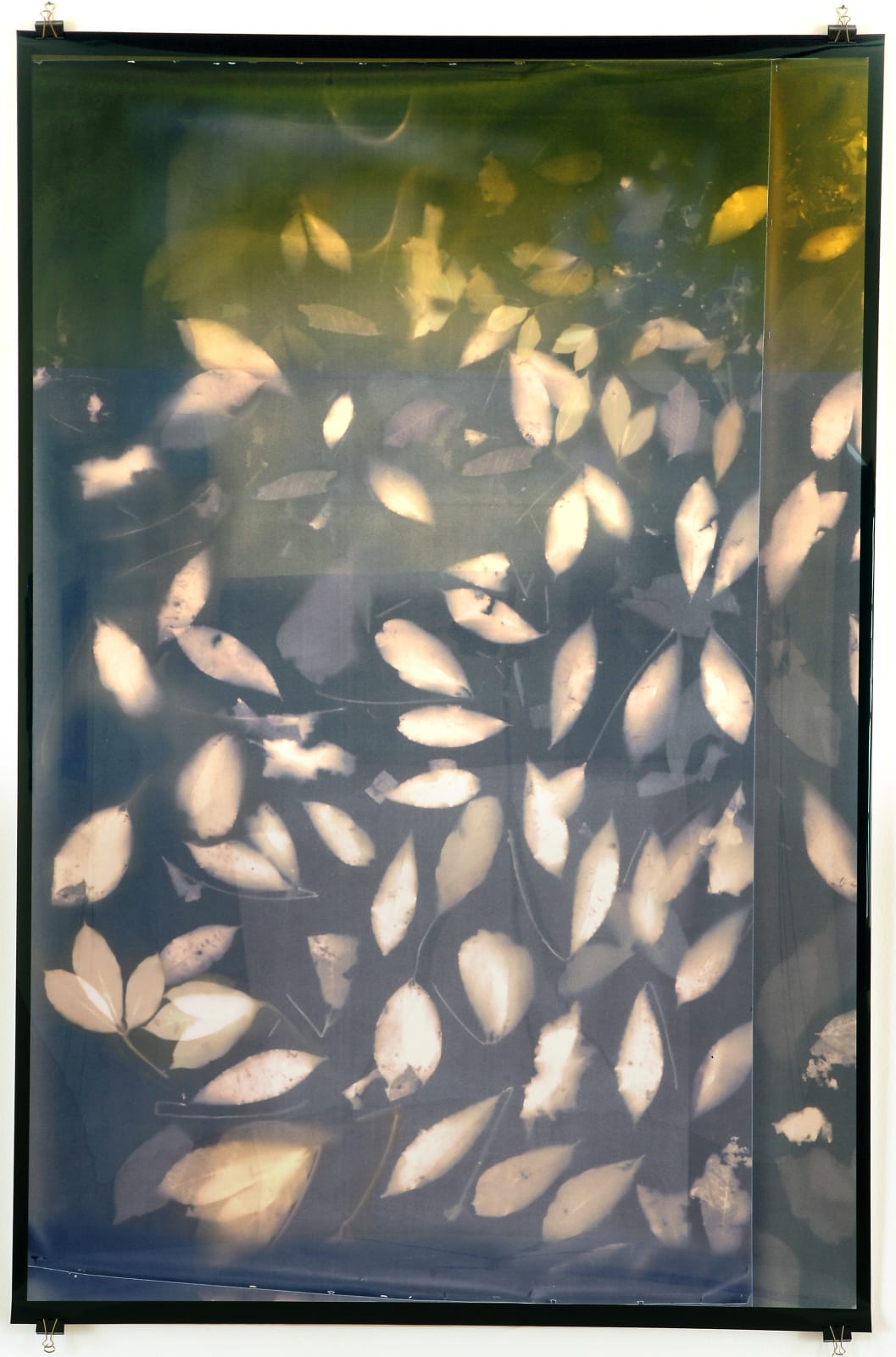 Thu-Van Tran, In the Fall, In the Rise, 2018