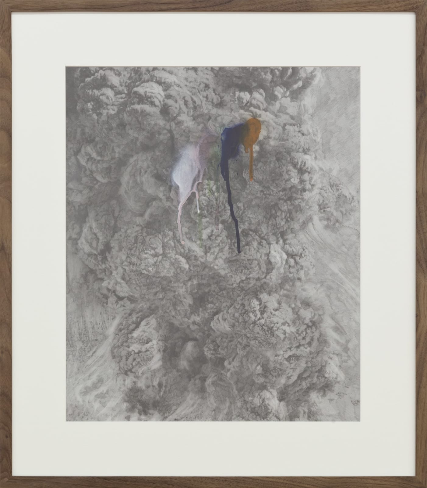 Thu-Van Tran, Rainbow Herbicides, 2020