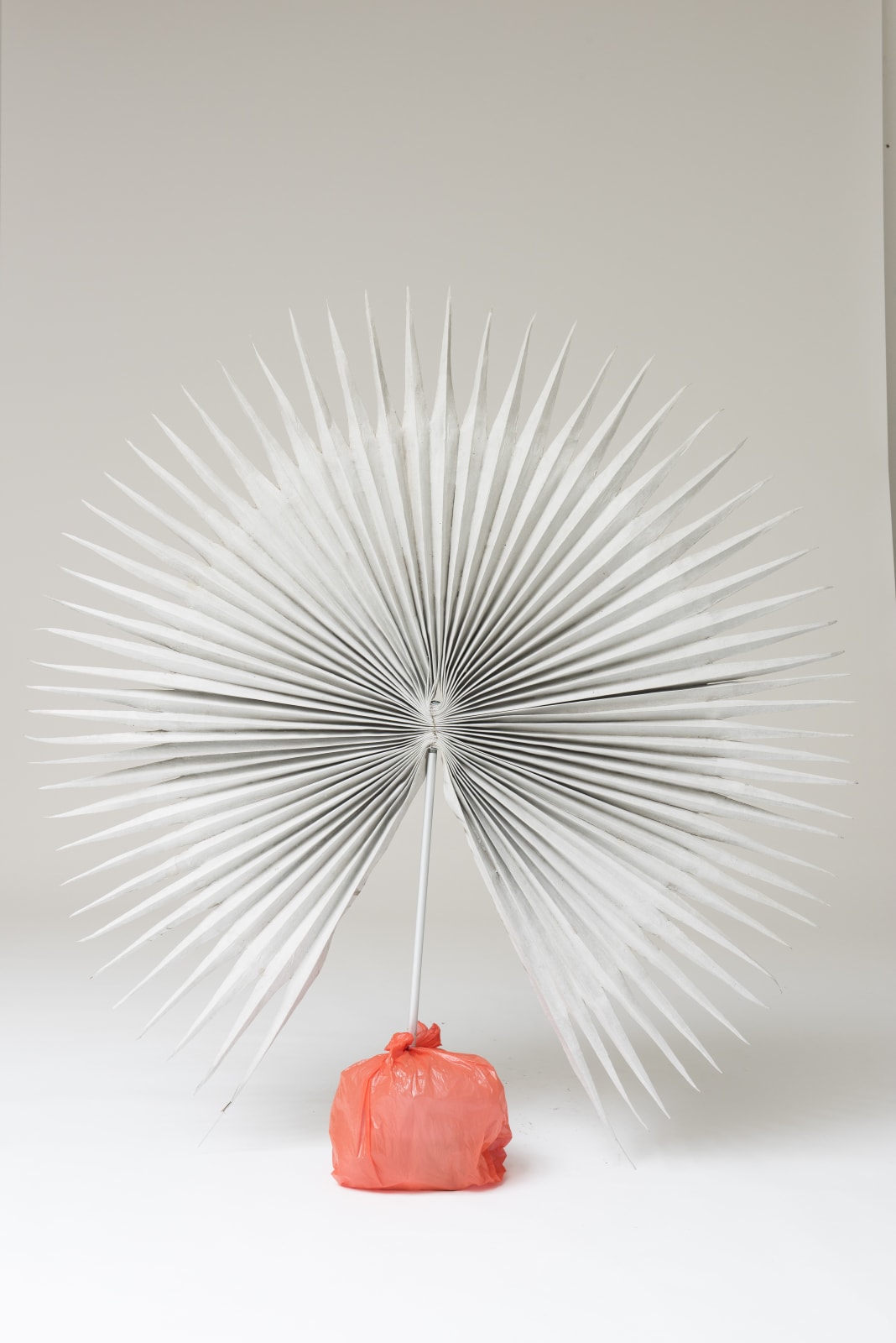 Lorena Herrera Rashid, Sauberland II, 2018