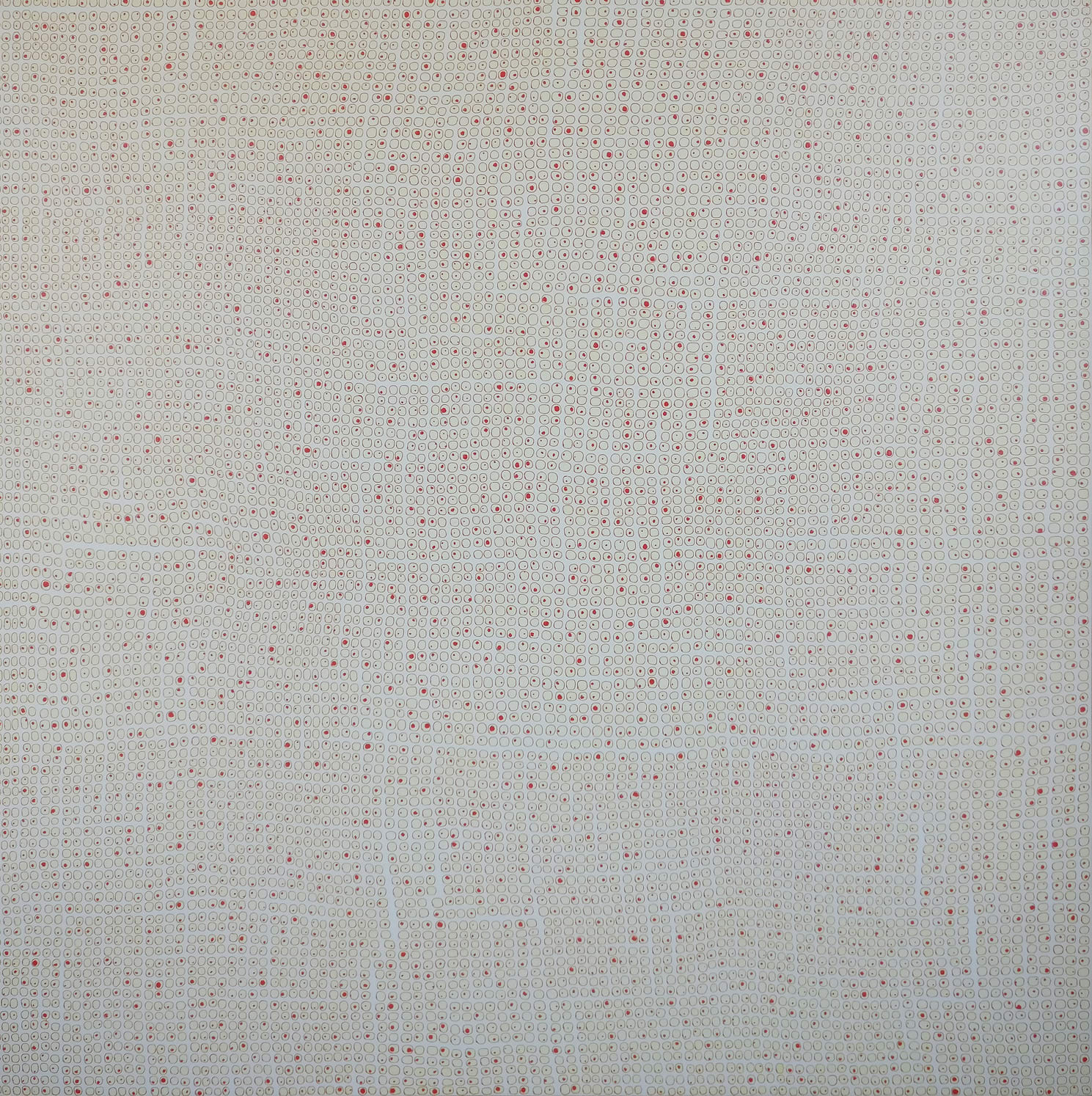 Teo González, Bonfire and Sunshine on Polar Sky, 2024