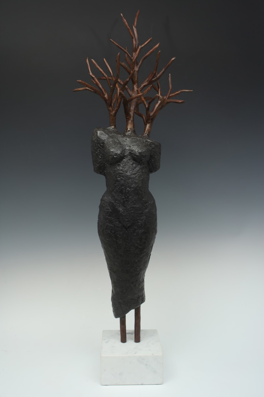 Tor Archer, Arboreal Growth, 2023