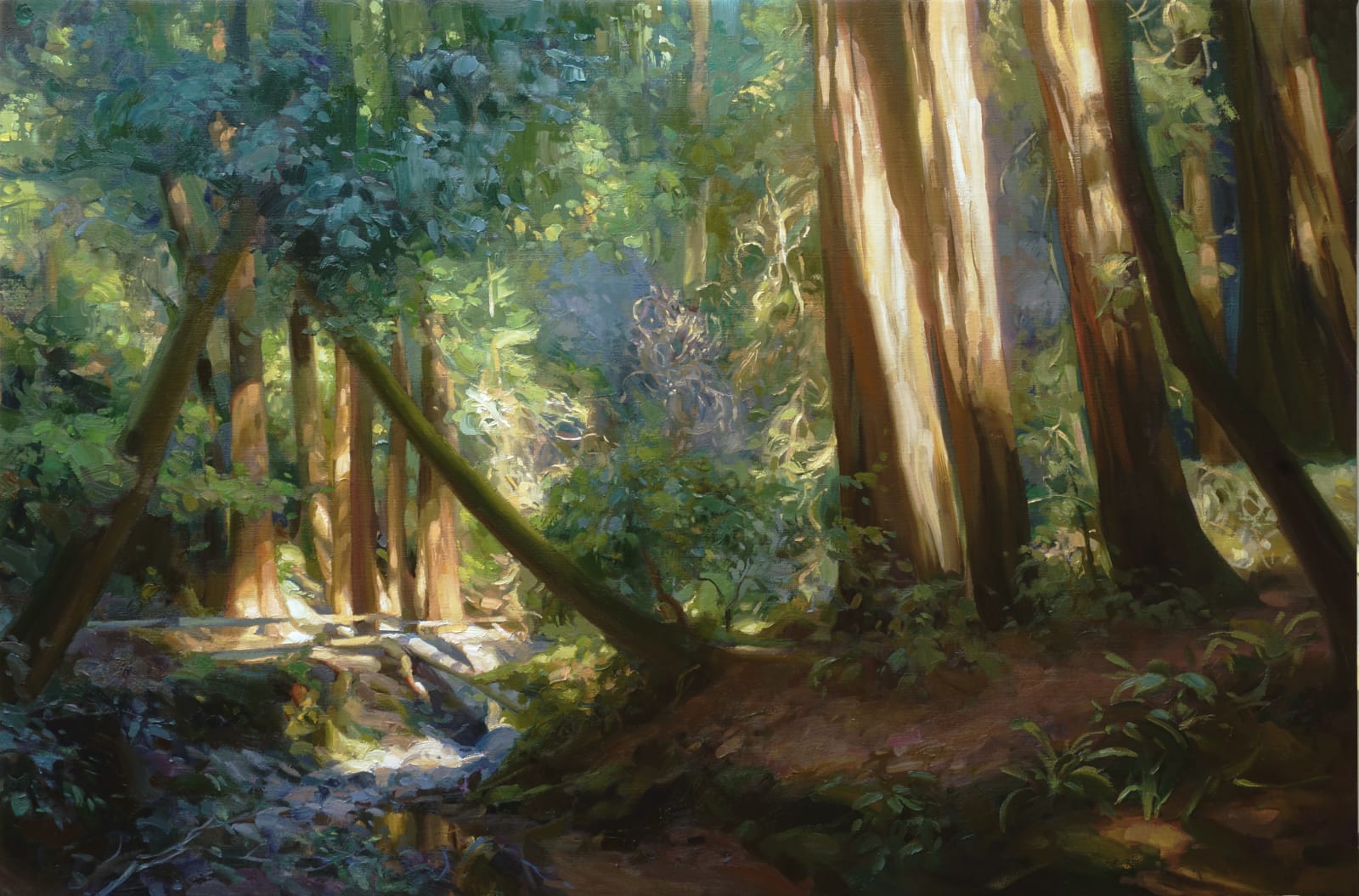 Kathleen Hudson, Muir Woods