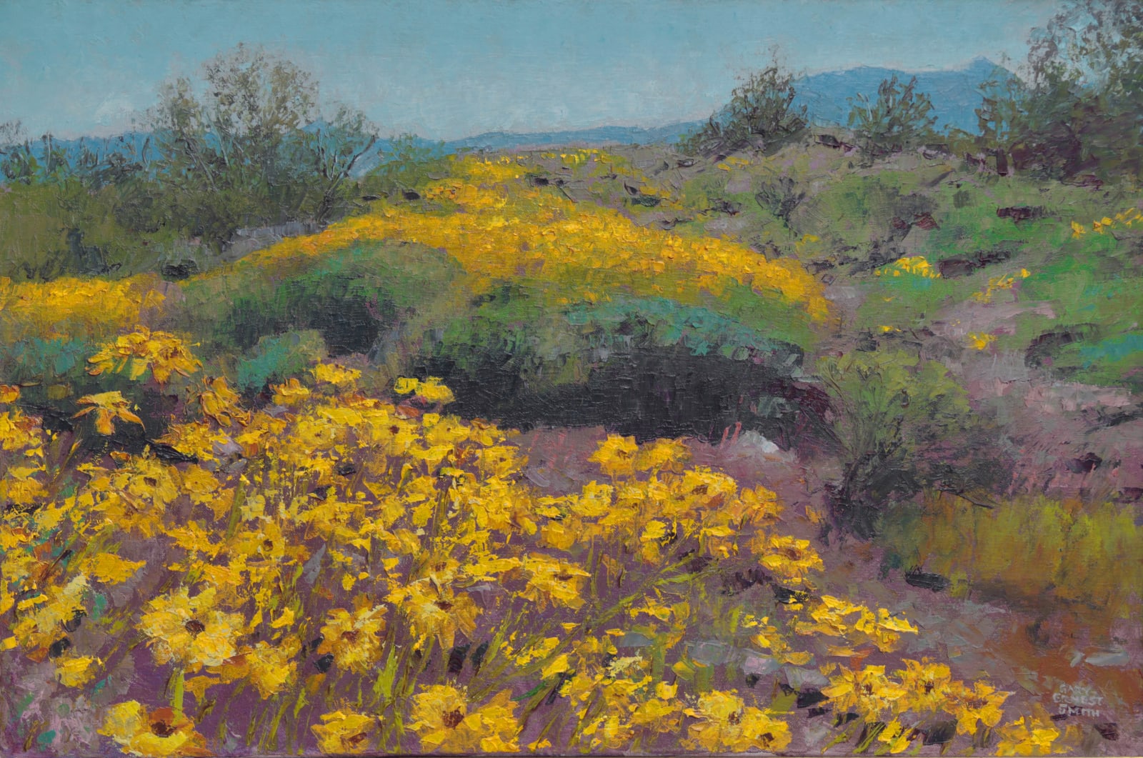 Private Collection 2025, Gary Ernest Smith, "Arizona Mountain Daisies"