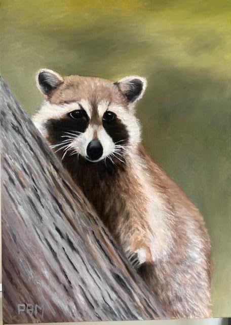 Best & Brightest 2026, Pam