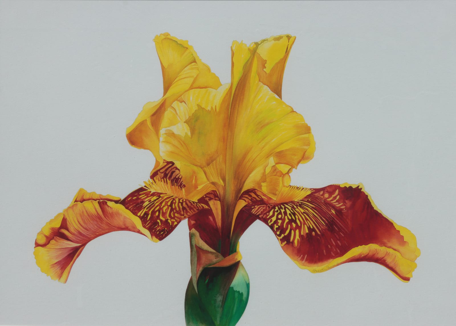 Beaux Arts 2025, Sebastiao Pereira, "Yellow Princess"