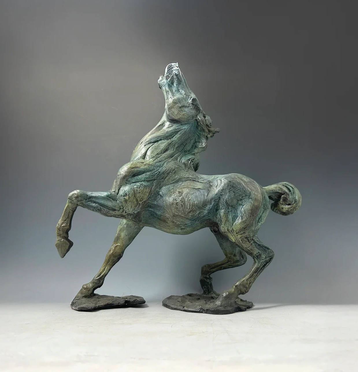 Beaux Arts 2025, Signature Raffle Prize by Sandy Scott "Star Gazer"