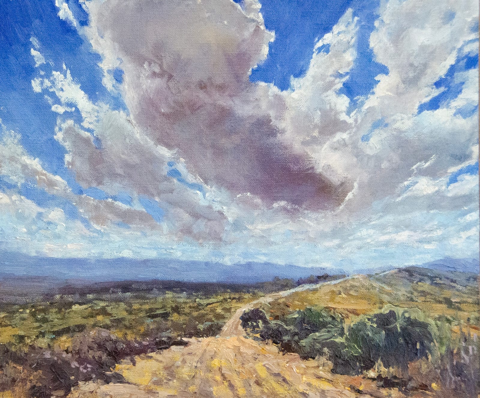 Fresh Paint 2024, Coni Bourin "Peeples Valley"