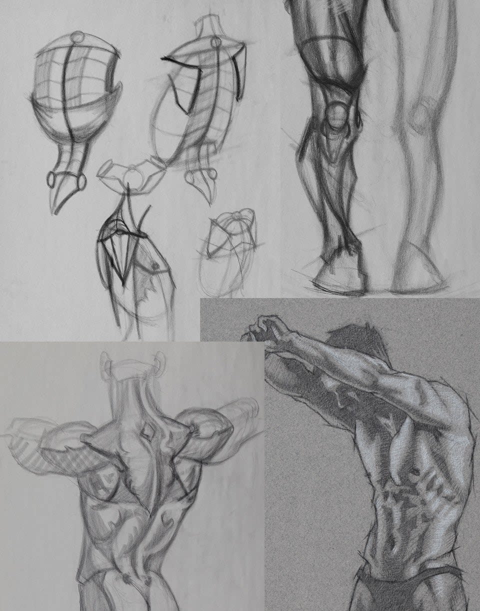 Tracy Schacht, Figures