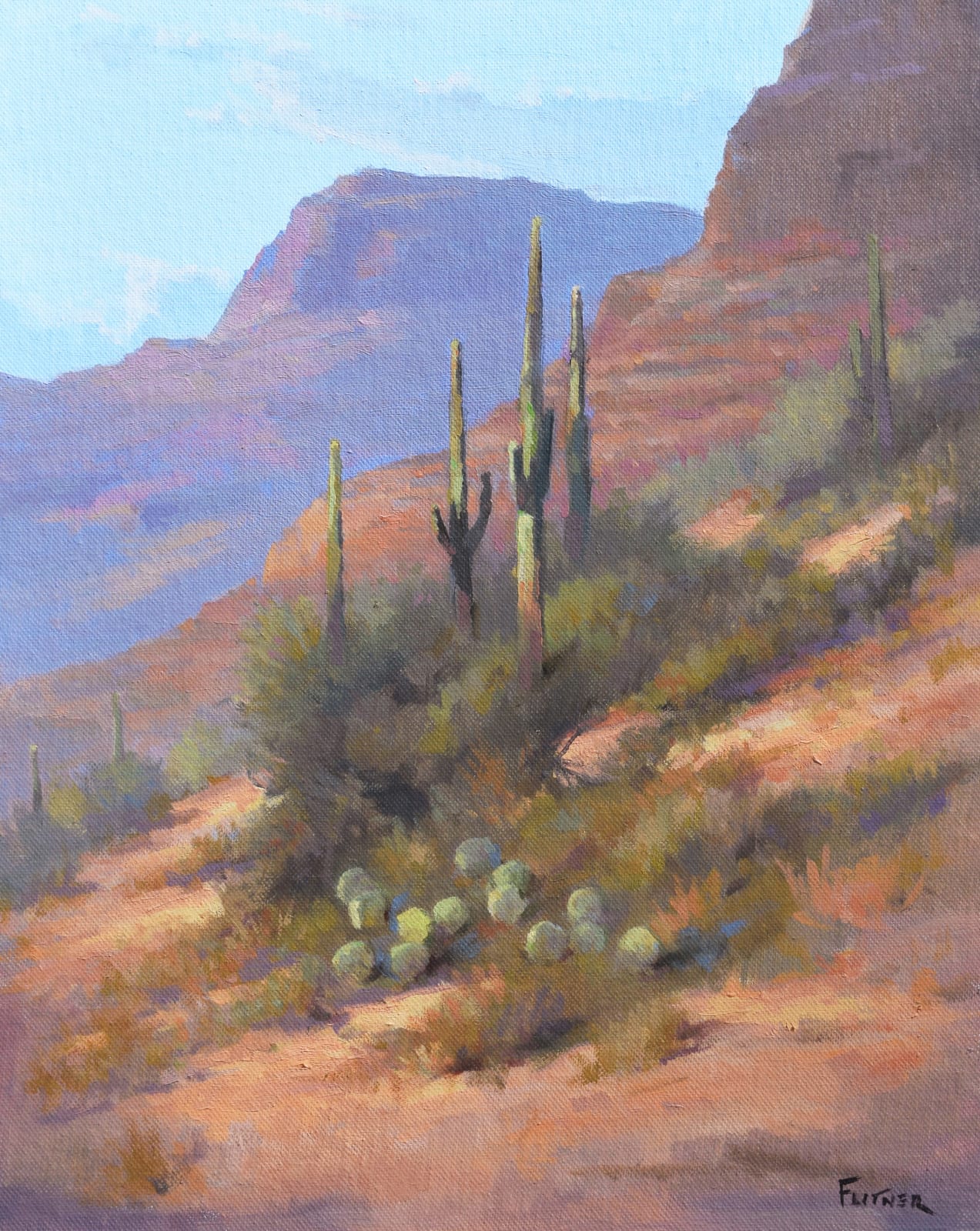 David Flitner, Desert Colors