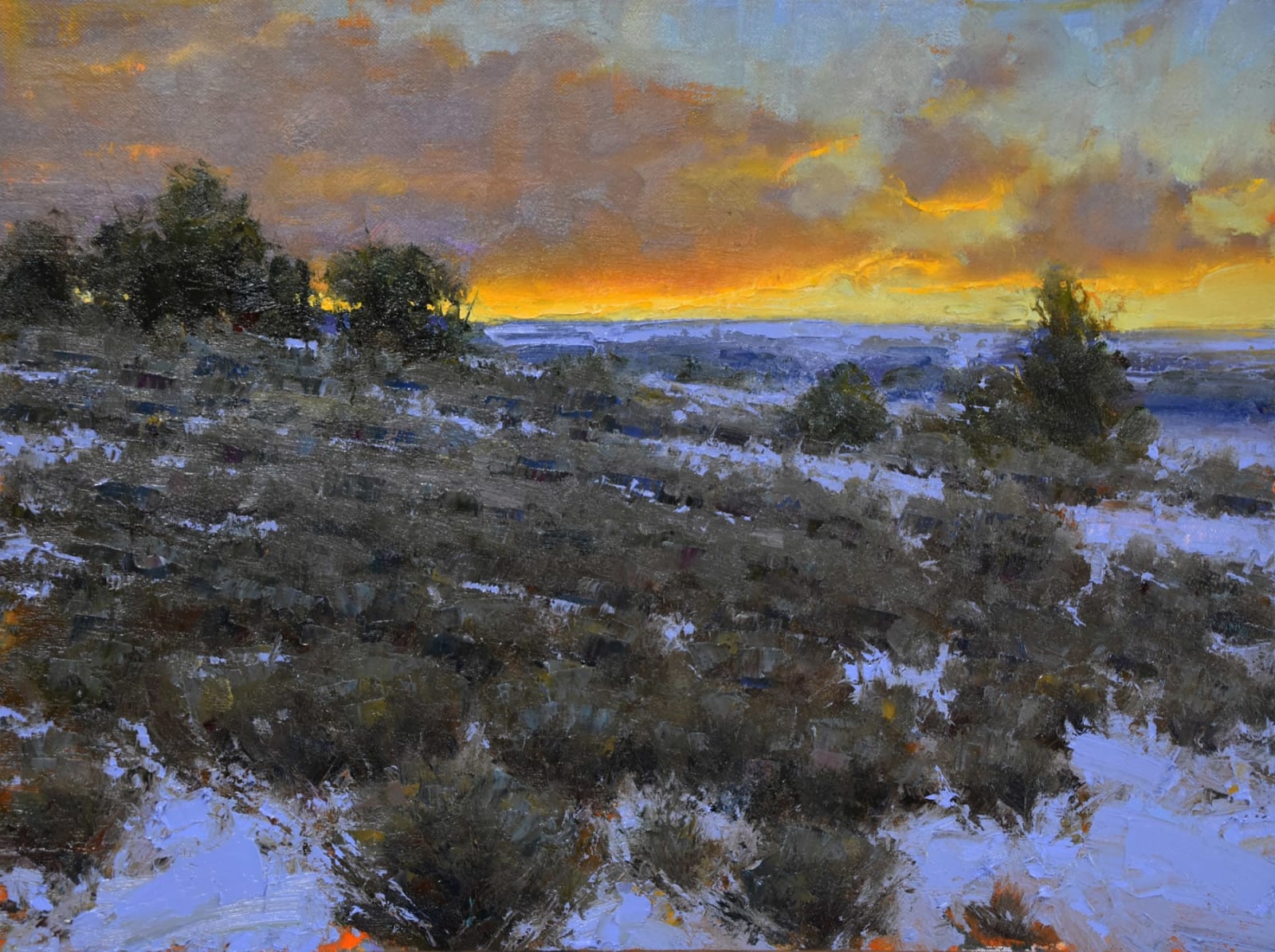 Dan Young, A Good Start