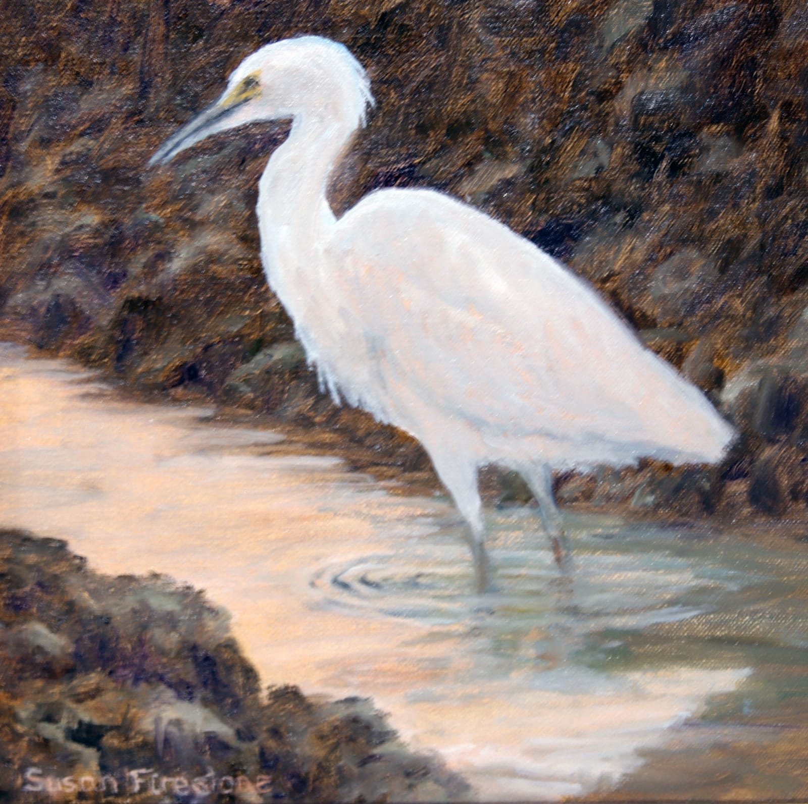 Circle of Friends Art Show, Susan Firestone