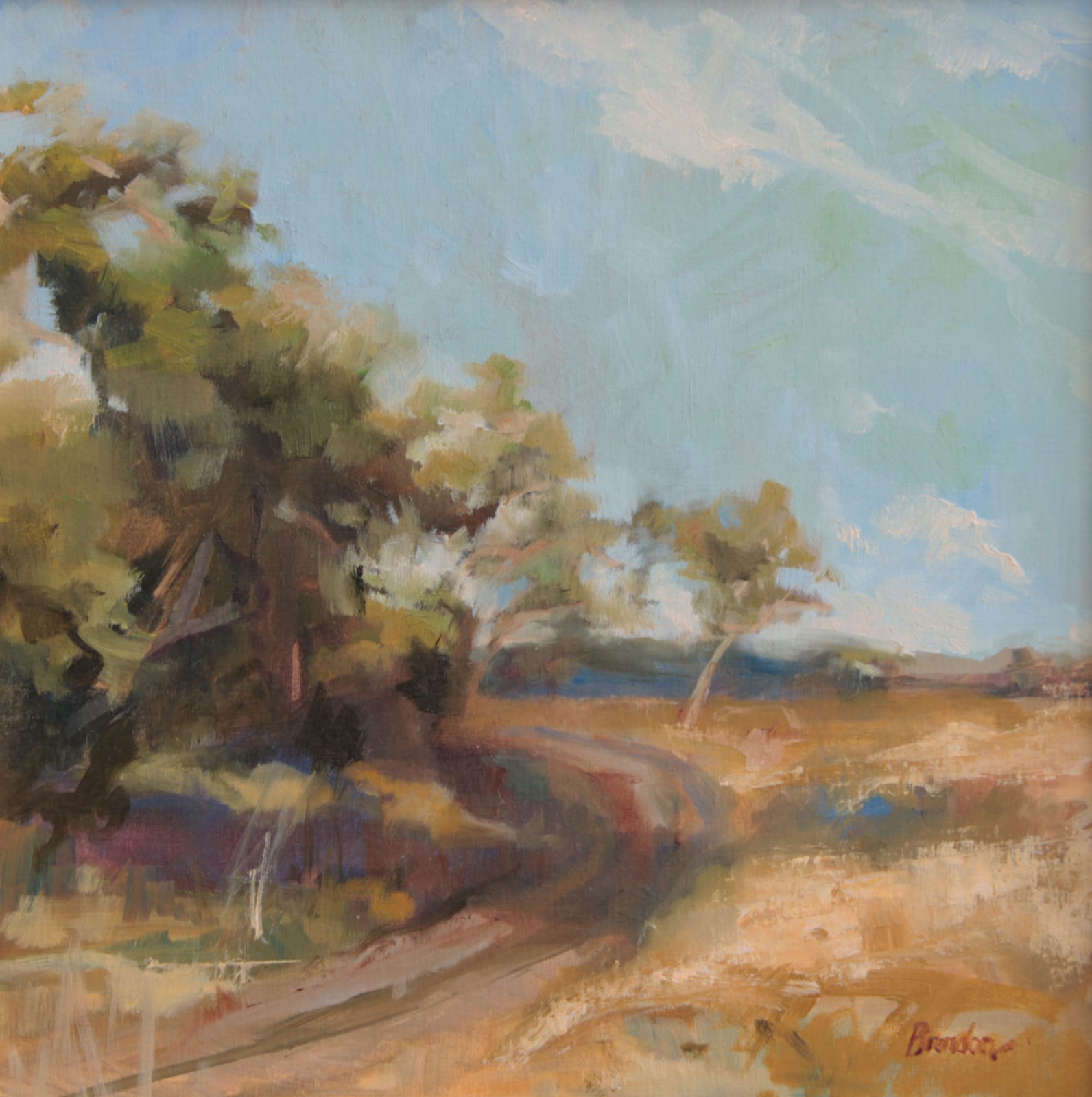Linda Tracey Brandon, The Road Behind the Camp