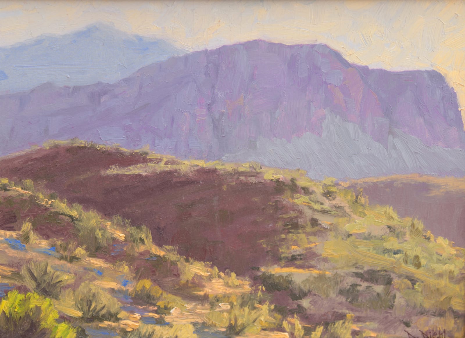 Private Collection 2025, Doug Diehl "Desert Light"