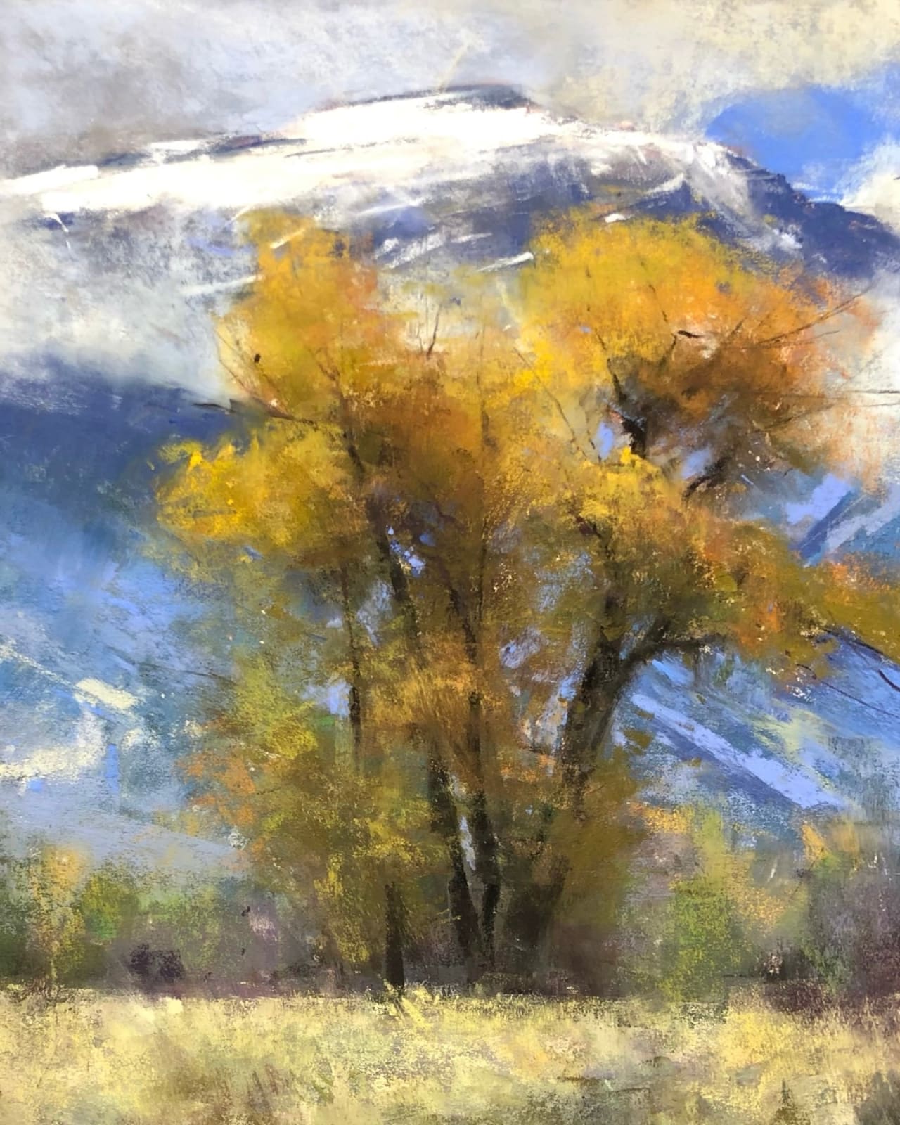 Jacob Aguiar, Jackson Complements