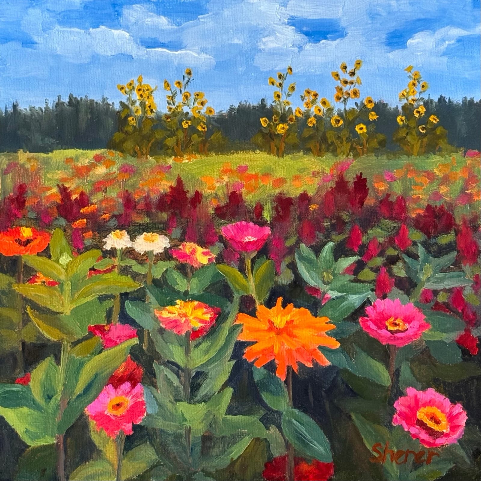 Best & Brightest 2026, Christine Sherer