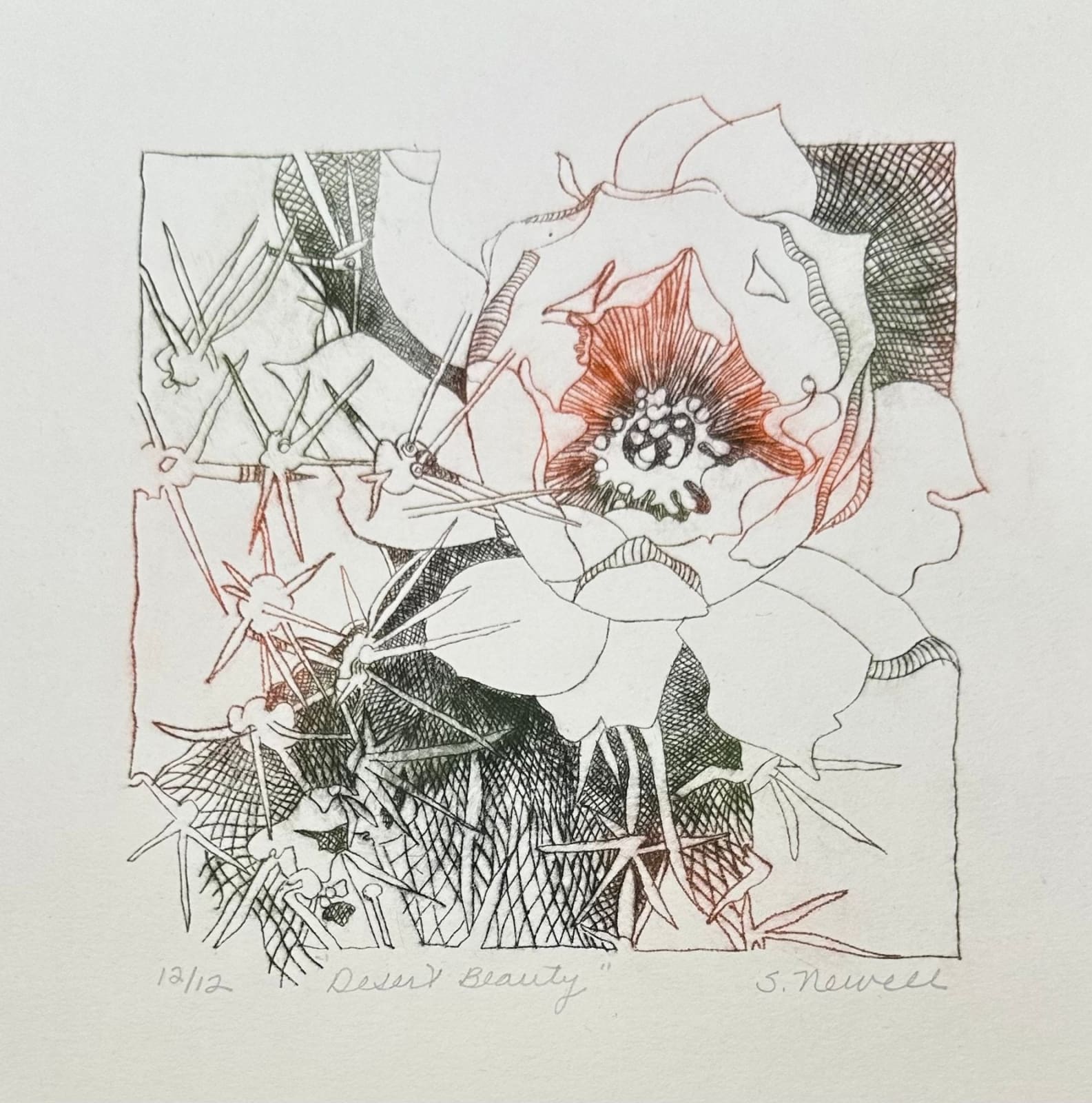 Best & Brightest 2026, Sandy Newell