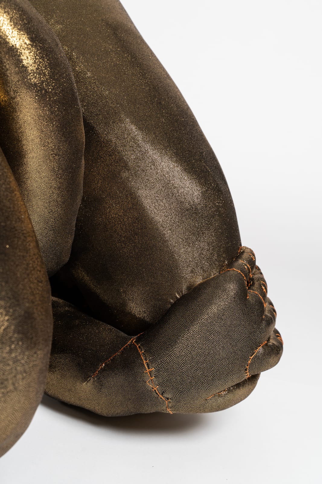 Tarryn Gill, Limber 6, 2021