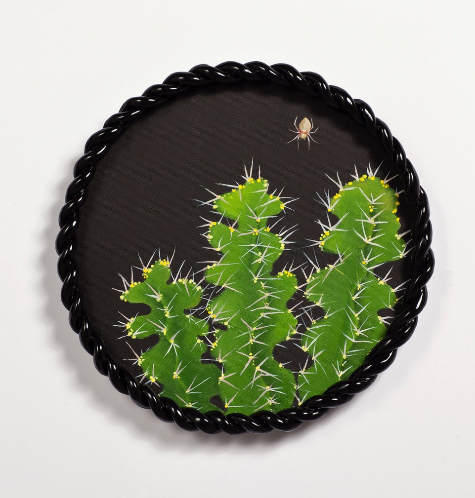 Angela Valamanesh, Birds and bees 21, (Cactus with Spider), 2024