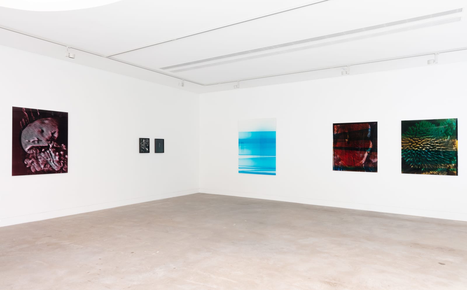Izabela Pluta, Frequency 3, 2025