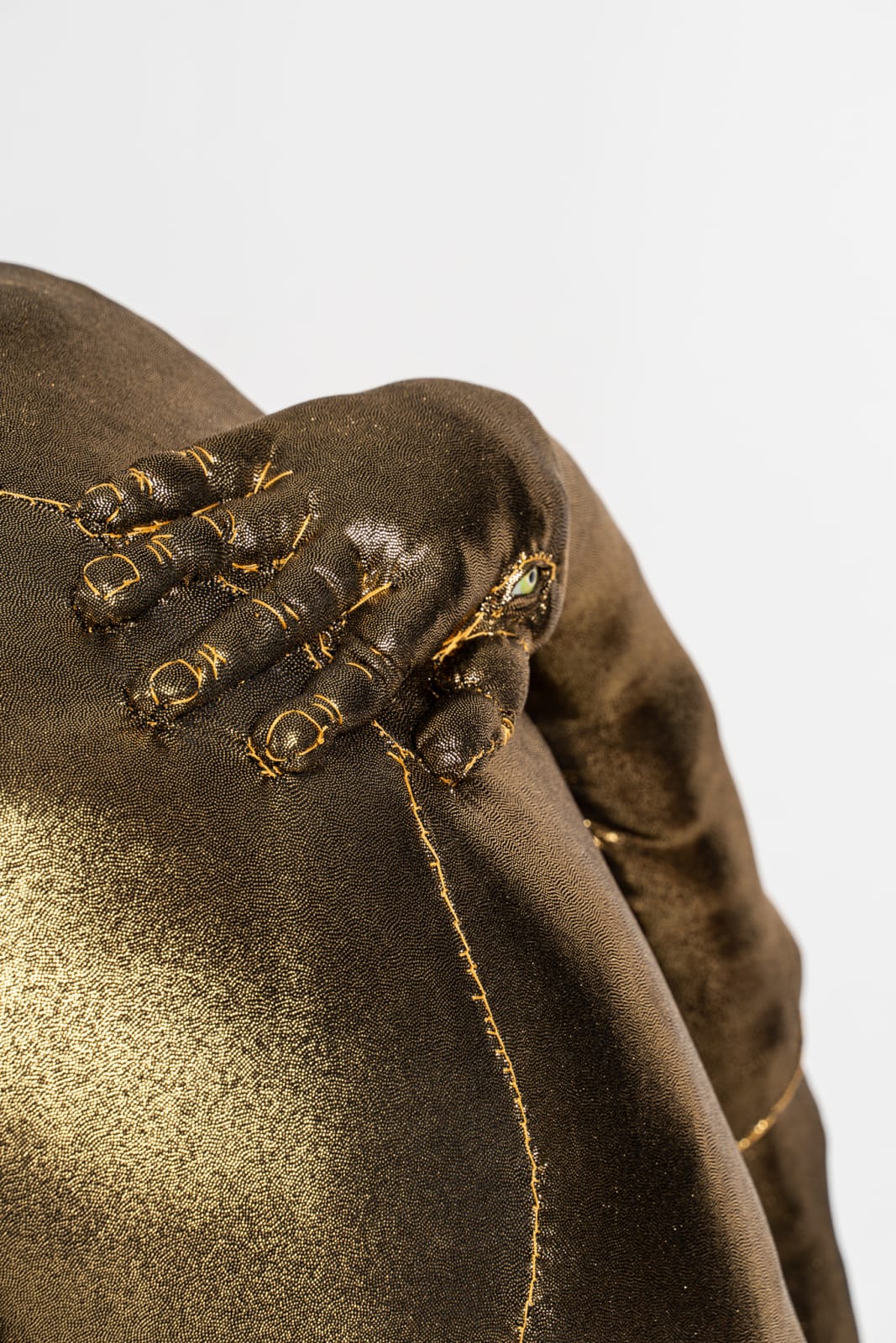 Tarryn Gill, Limber 5, 2021