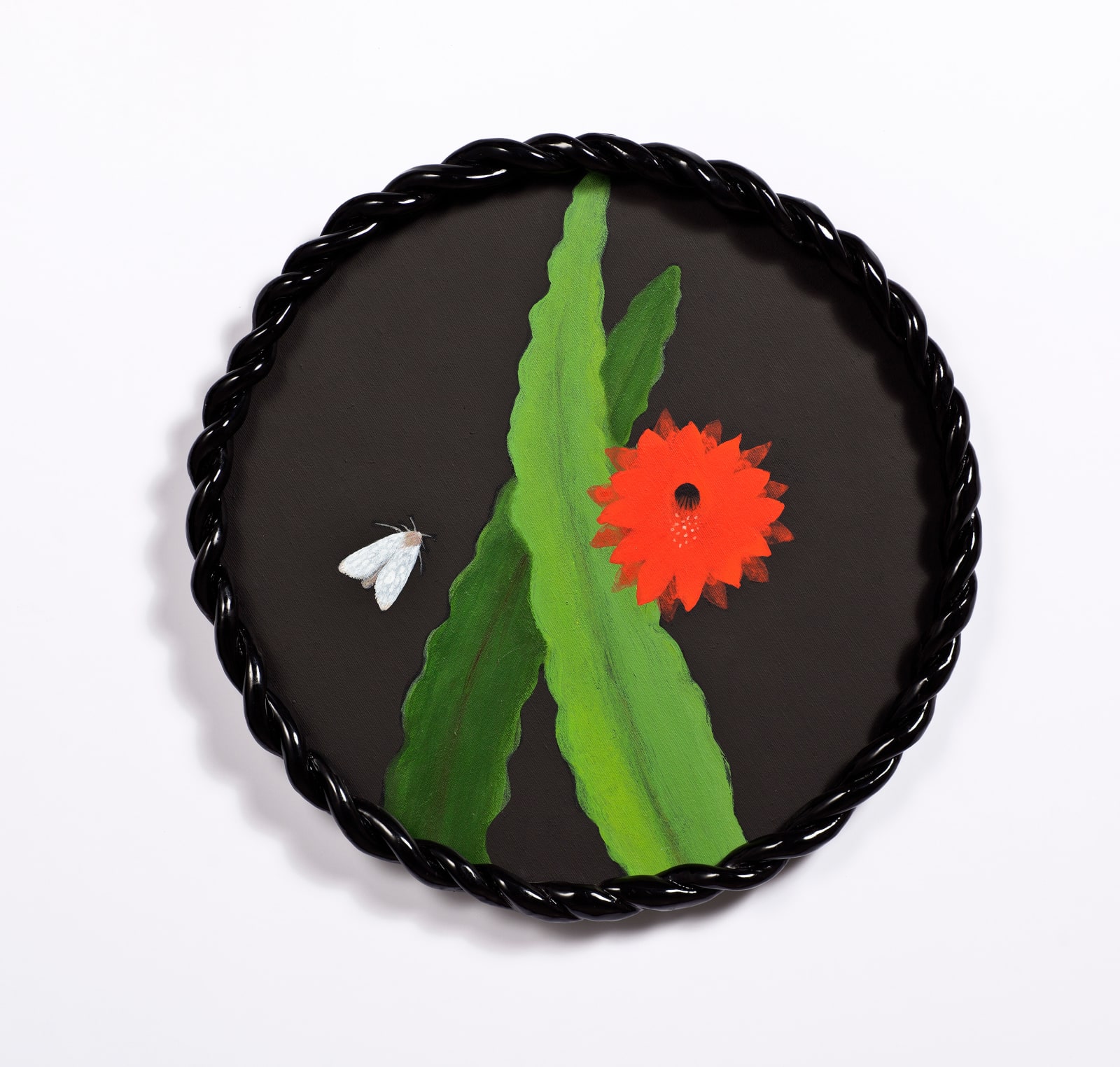 Angela Valamanesh, Birds and bees 10, (Cactus with Moth), 2024