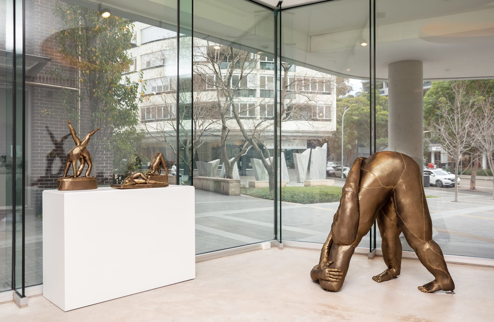 Tarryn Gill, Limber 5, 2021