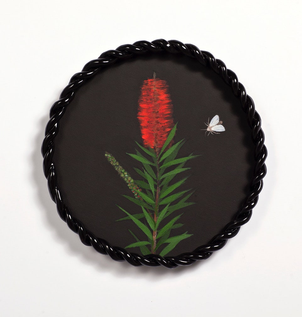 Angela Valamanesh, Birds and bees 18, (Bottlebrush with Moth), 2024