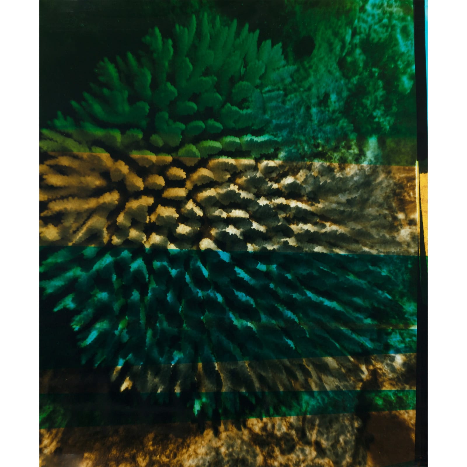 Izabela Pluta, Frequency 1, 2025