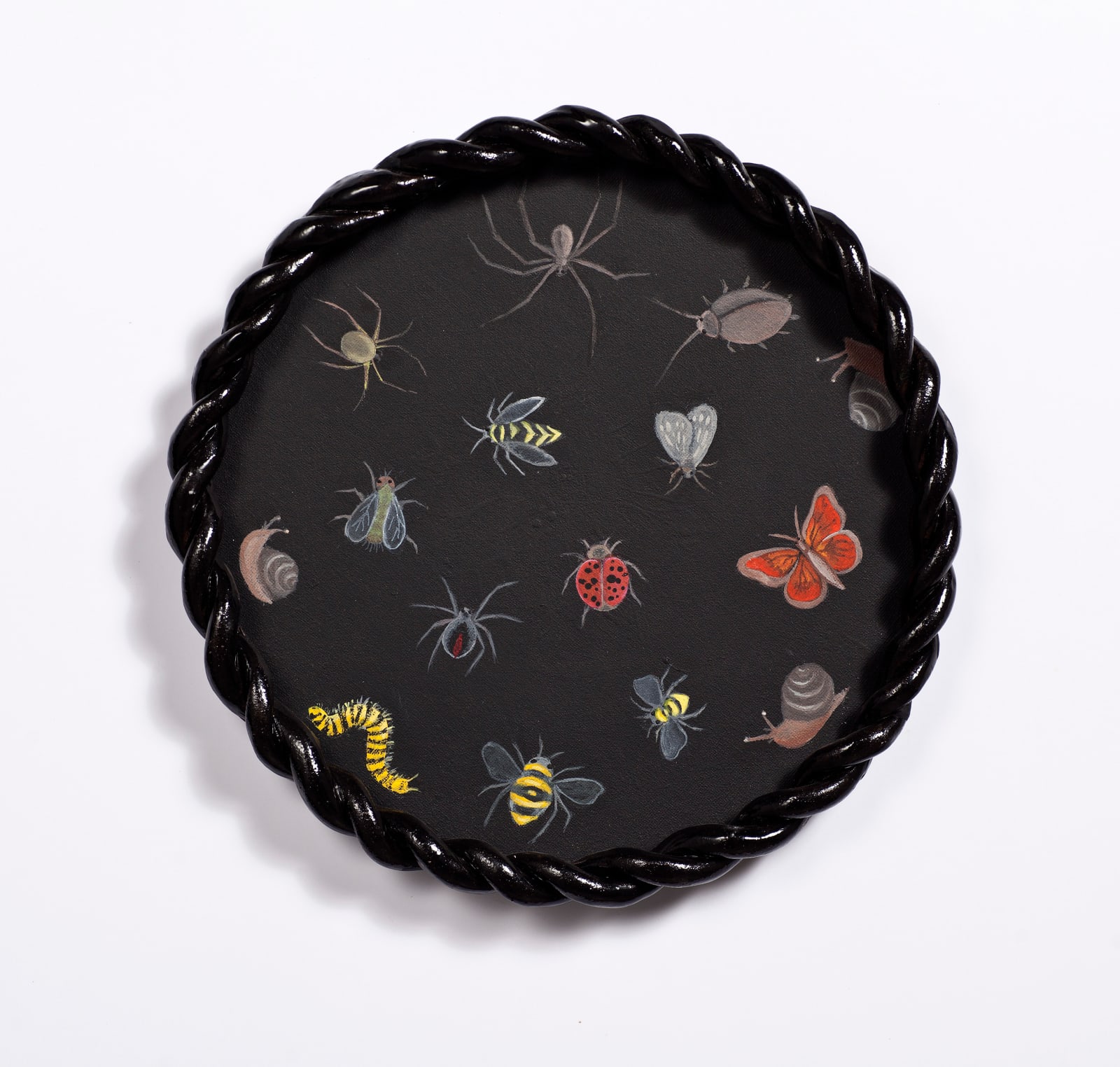 Angela Valamanesh, Birds and bees 7, (Various insects), 2024