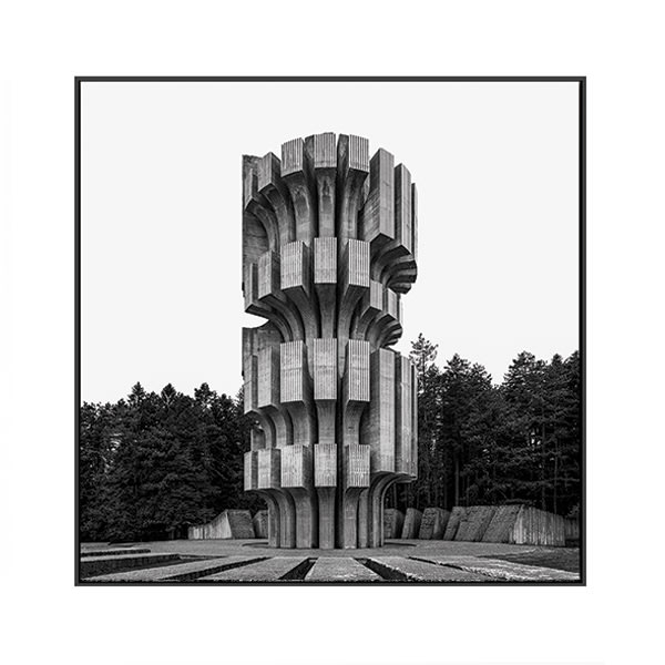 Don Cameron, Kozara, 2020