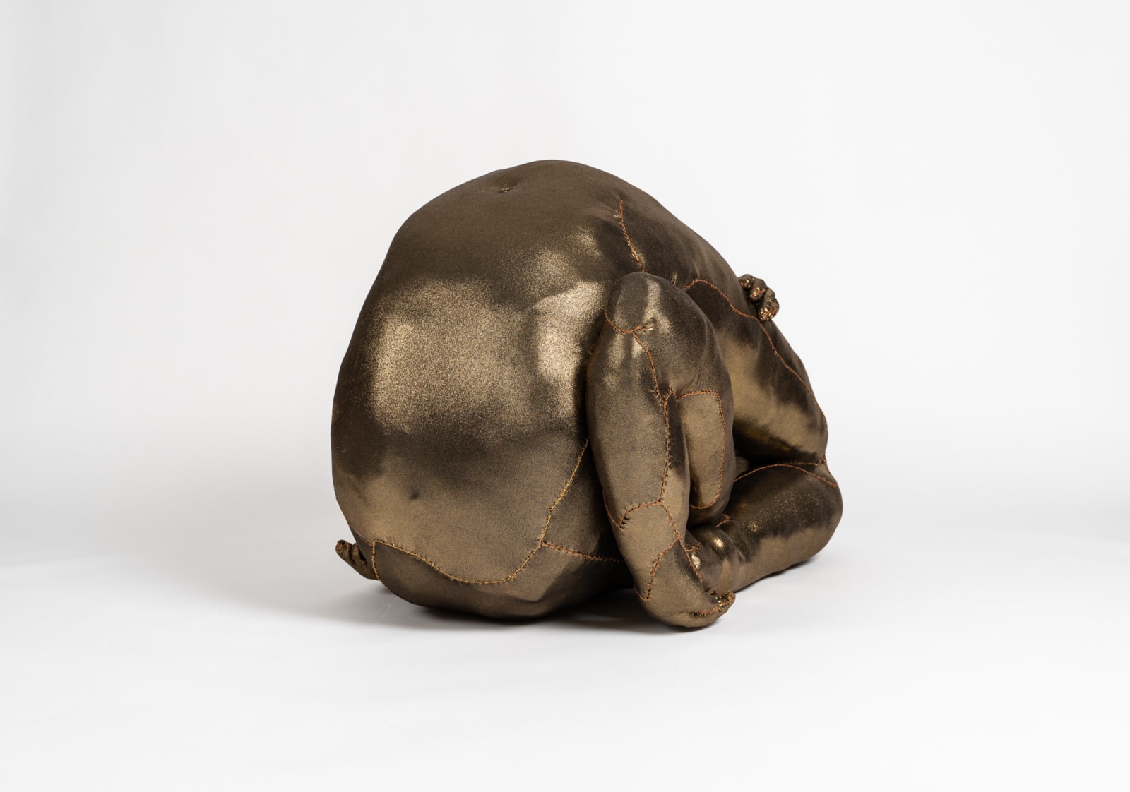 Tarryn Gill, Limber 6, 2021