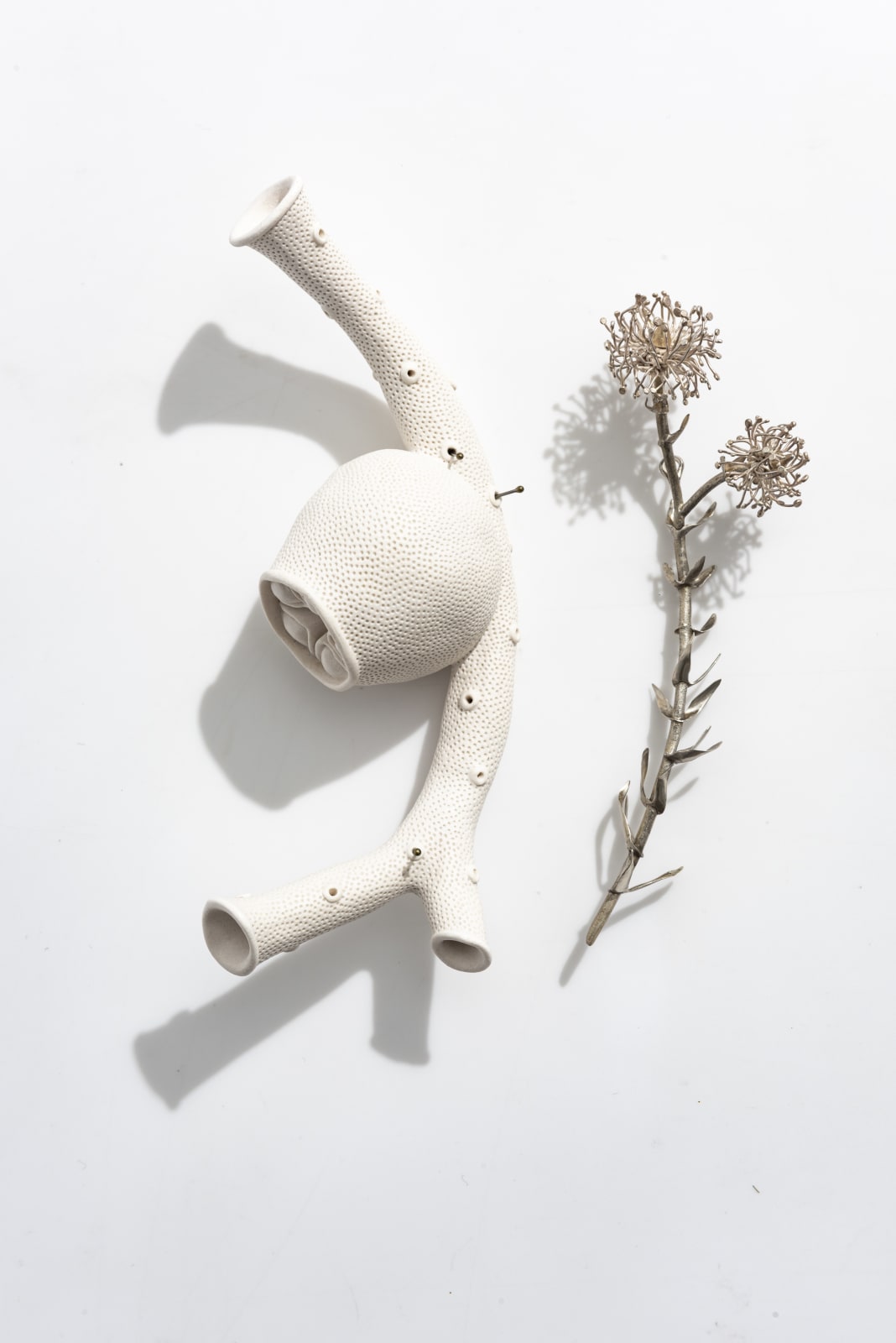 Sarah Rayner & Sophie Carnell, Florilegium …. Whispered conversations III, 2020