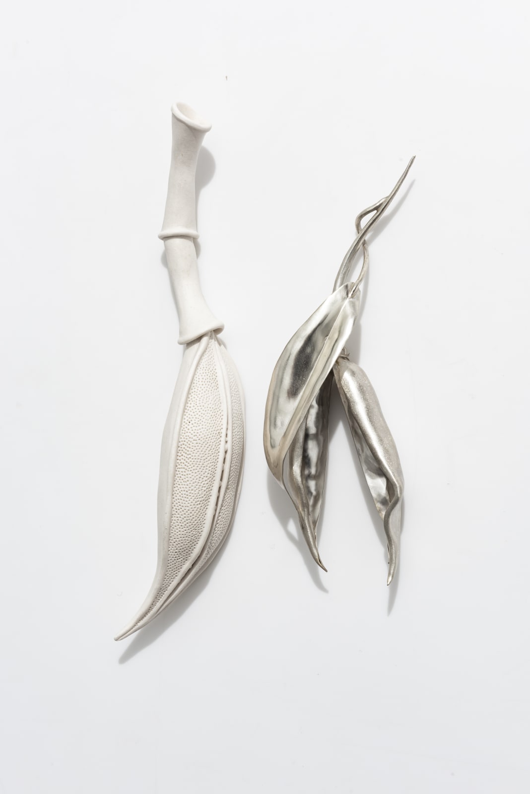 Sarah Rayner & Sophie Carnell, Florilegium …. Whispered conversations III, 2020