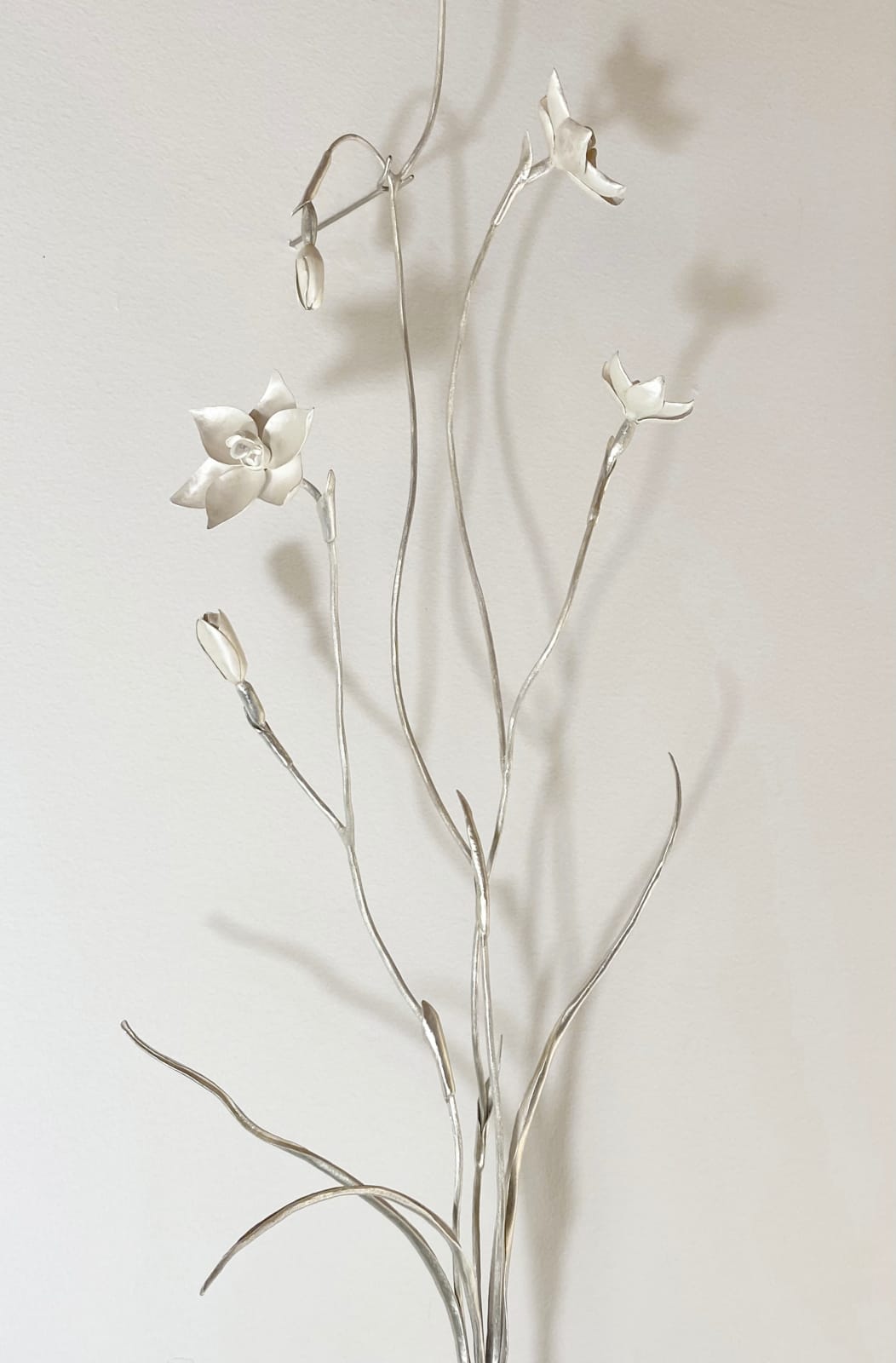 Sophie Carnell, Thelymitra rubra / Salmon Sun Orchid, 2025