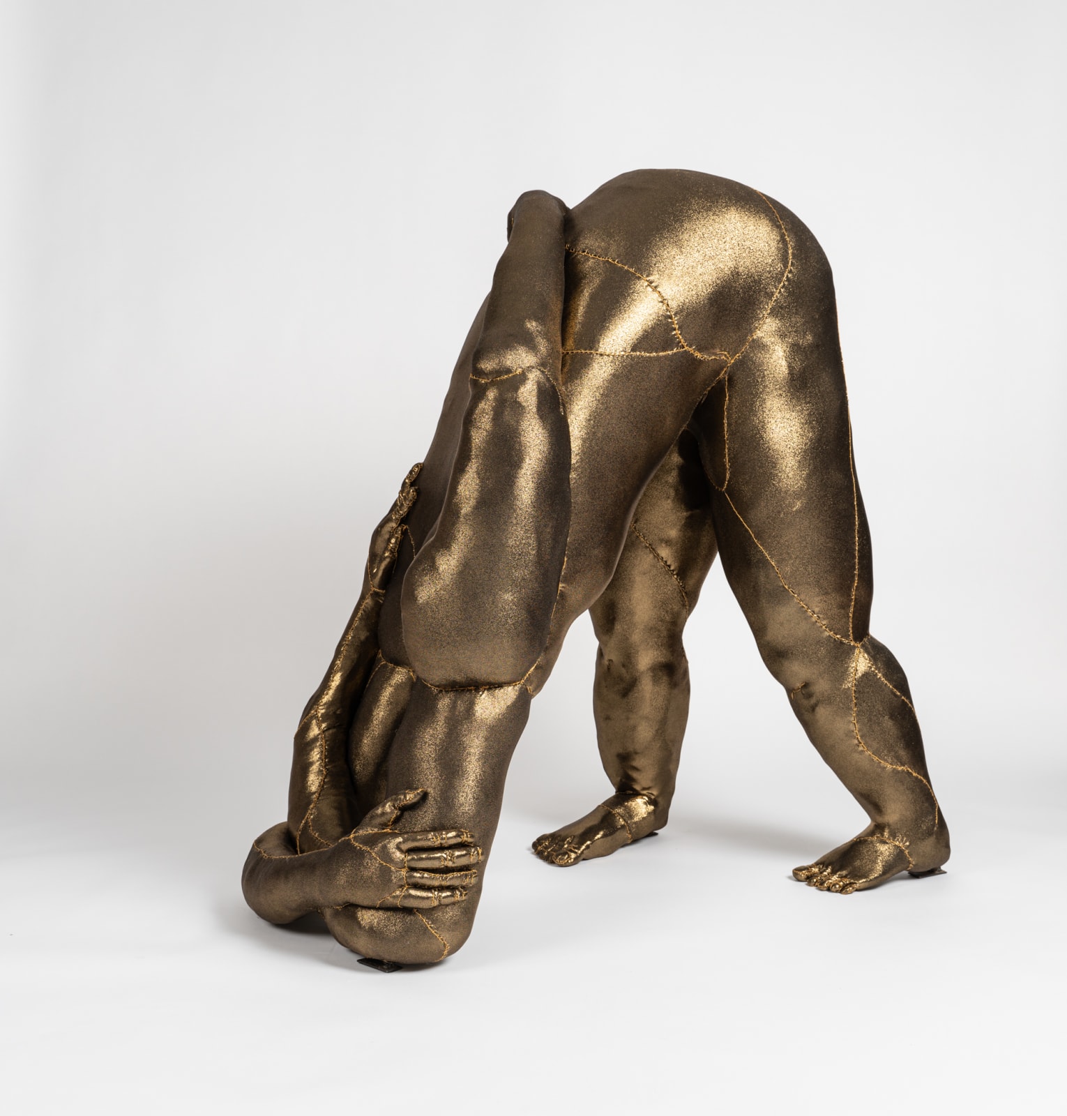 Tarryn Gill, Limber 5, 2021