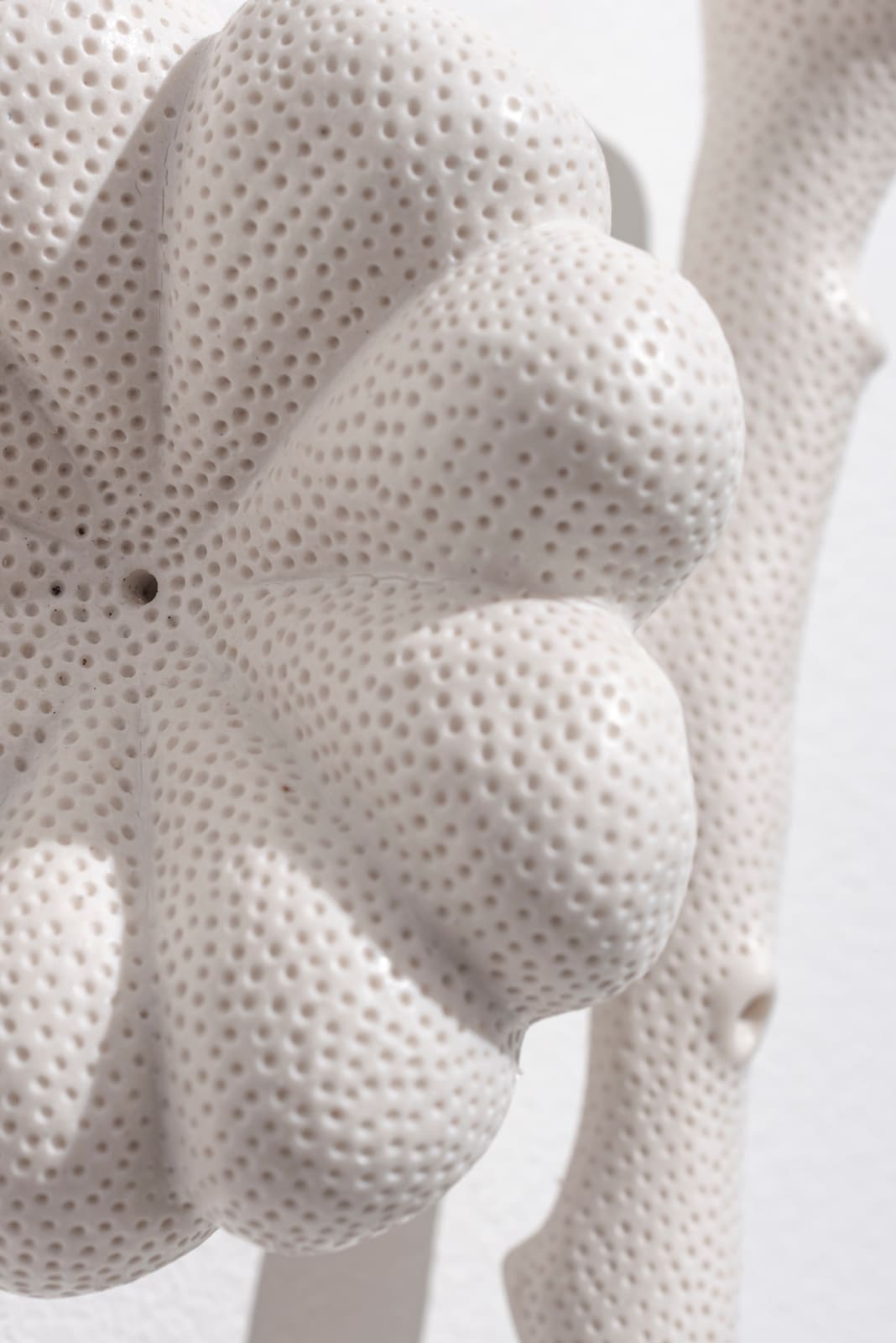 Sarah Rayner, Distance of a Whisper … Group A, 2023