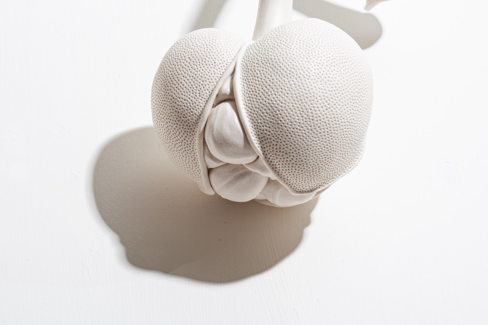 Sarah Rayner, Understories....1, 2024