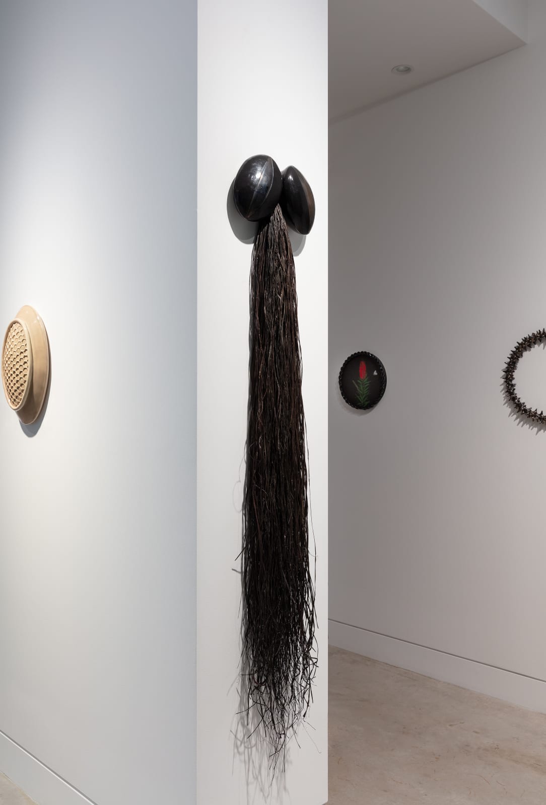 Angela Valamanesh, Birds and bees 18, (Bottlebrush with Moth), 2024