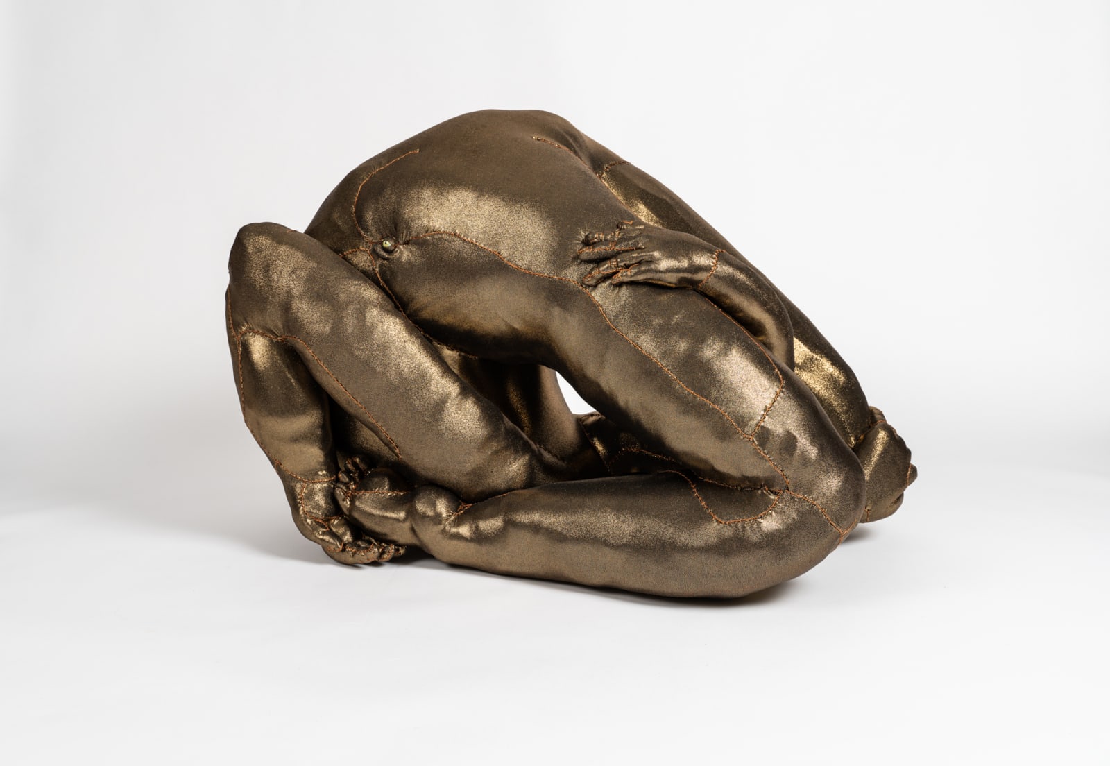 Tarryn Gill, Limber 6, 2021