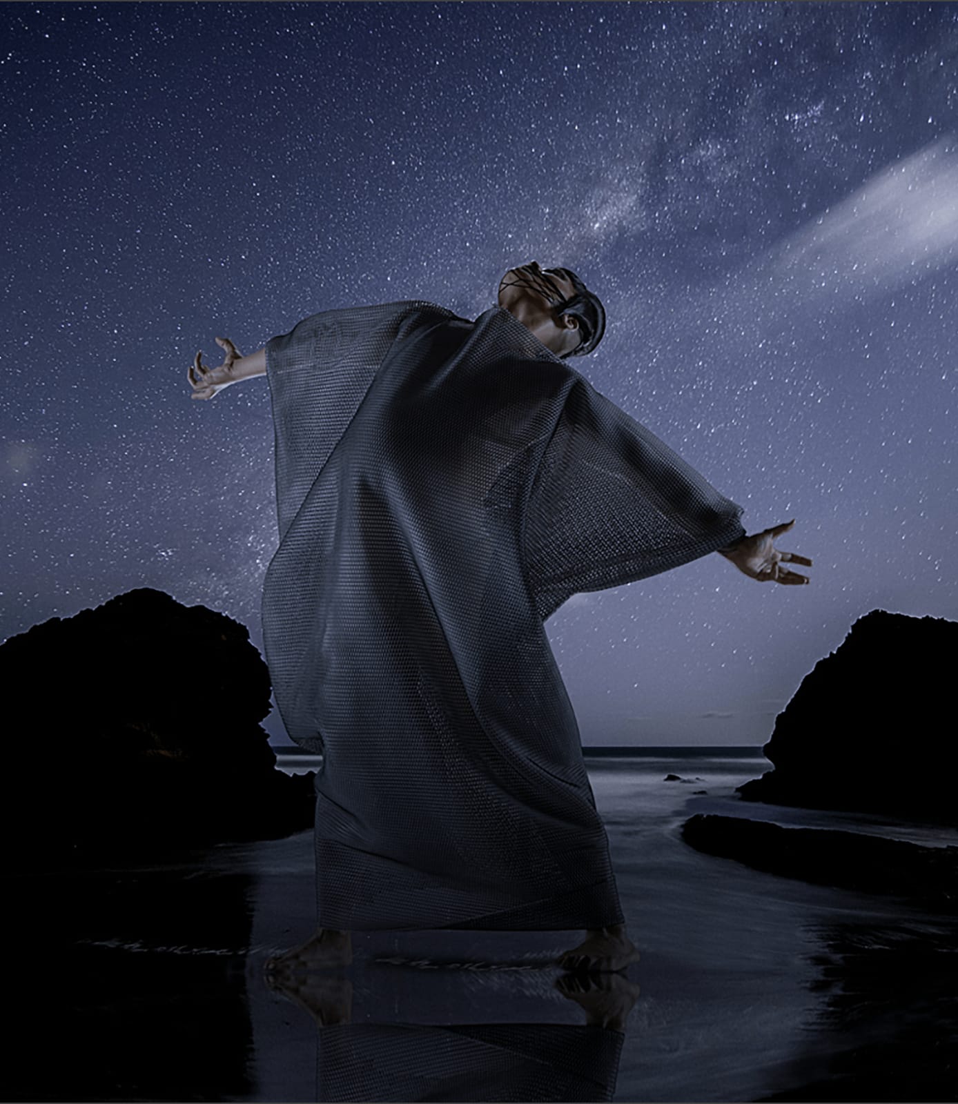 Lisa Reihana, Tane, 2019